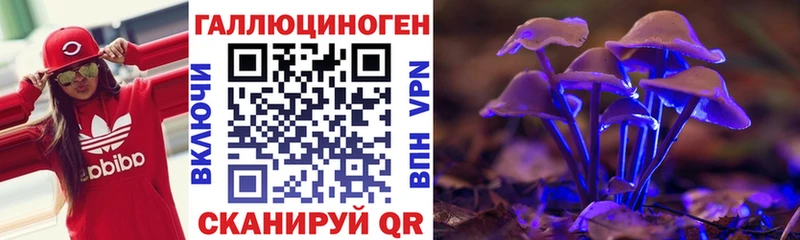 Галлюциногенные грибы Psilocybine cubensis  Реж 