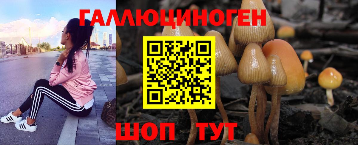 Галлюциногенные грибы Cubensis  Вход с VPN  Реж 